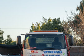 Imagen de la galería
