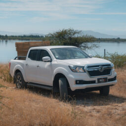 
										Arriendo Dongfeng Rich 6 4×4 completo									