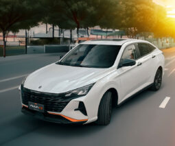 
										Arriendo Dongfeng Aeolus Y3 completo									